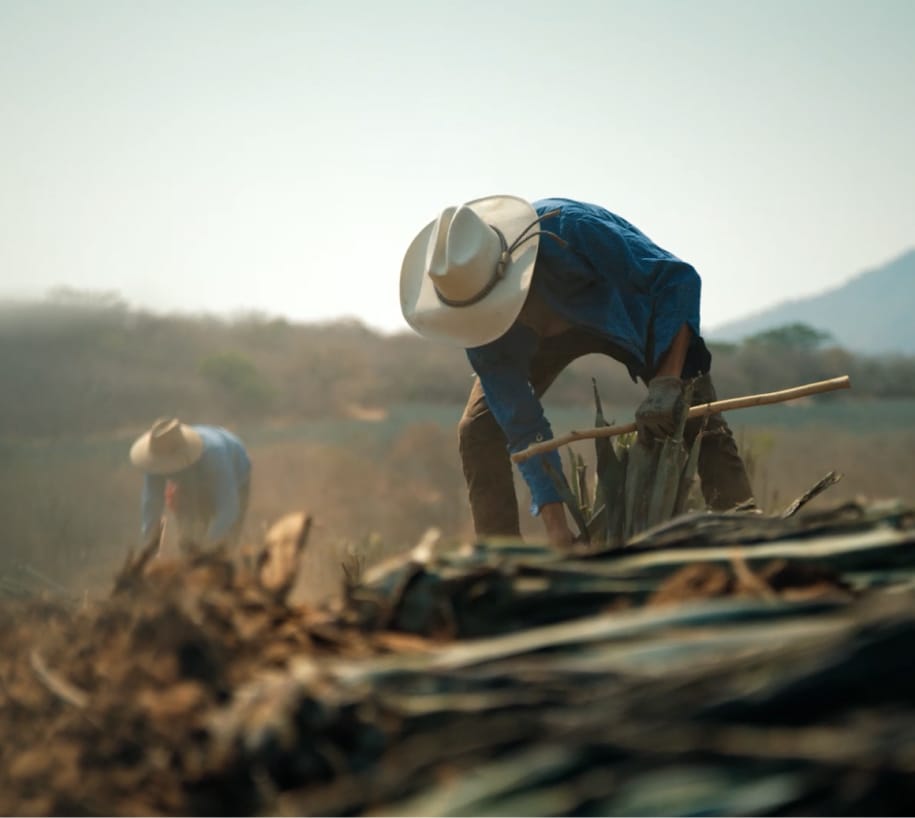 esg-jimadore-working-in-field